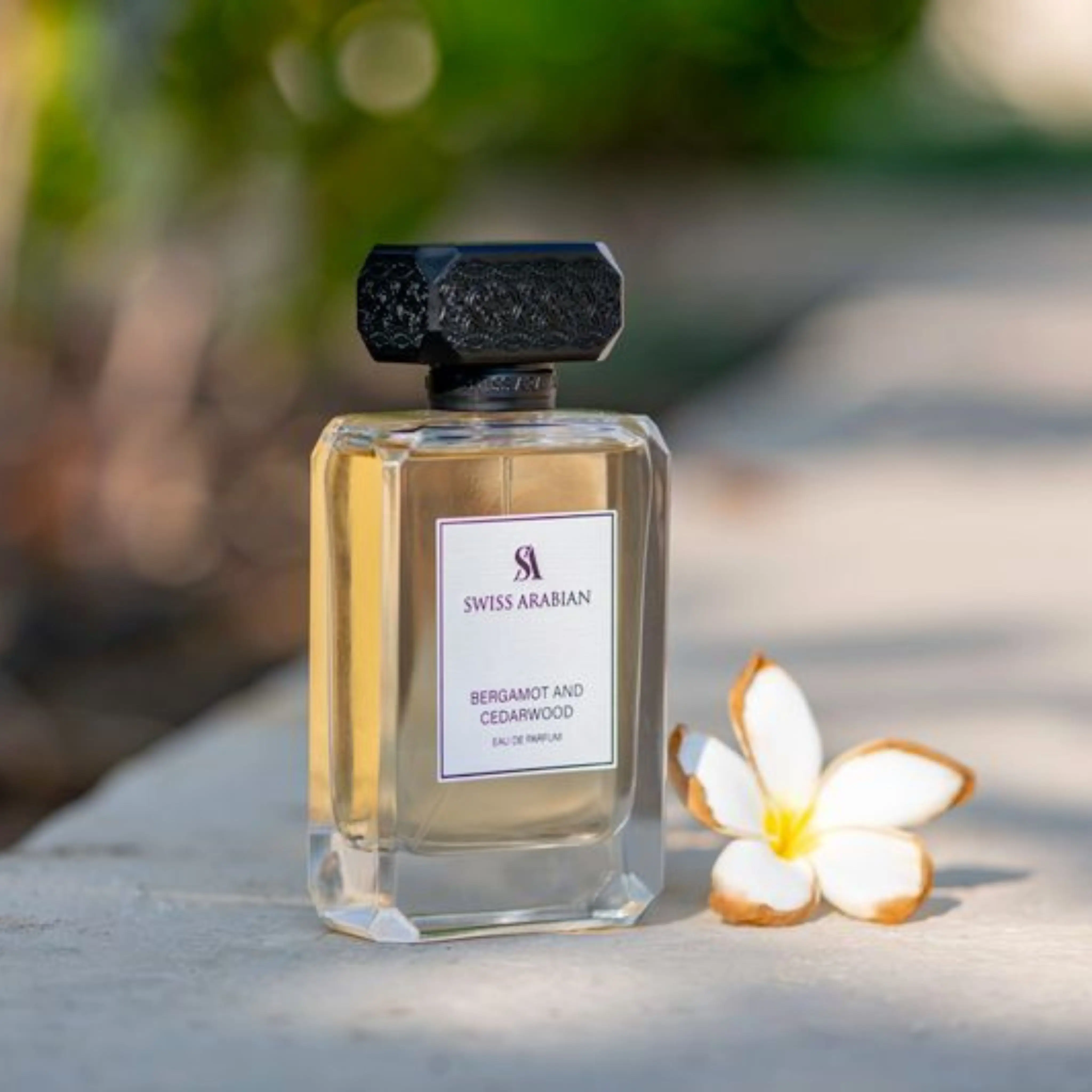 BERGAMOT AND CEDARWOOD - Image 6