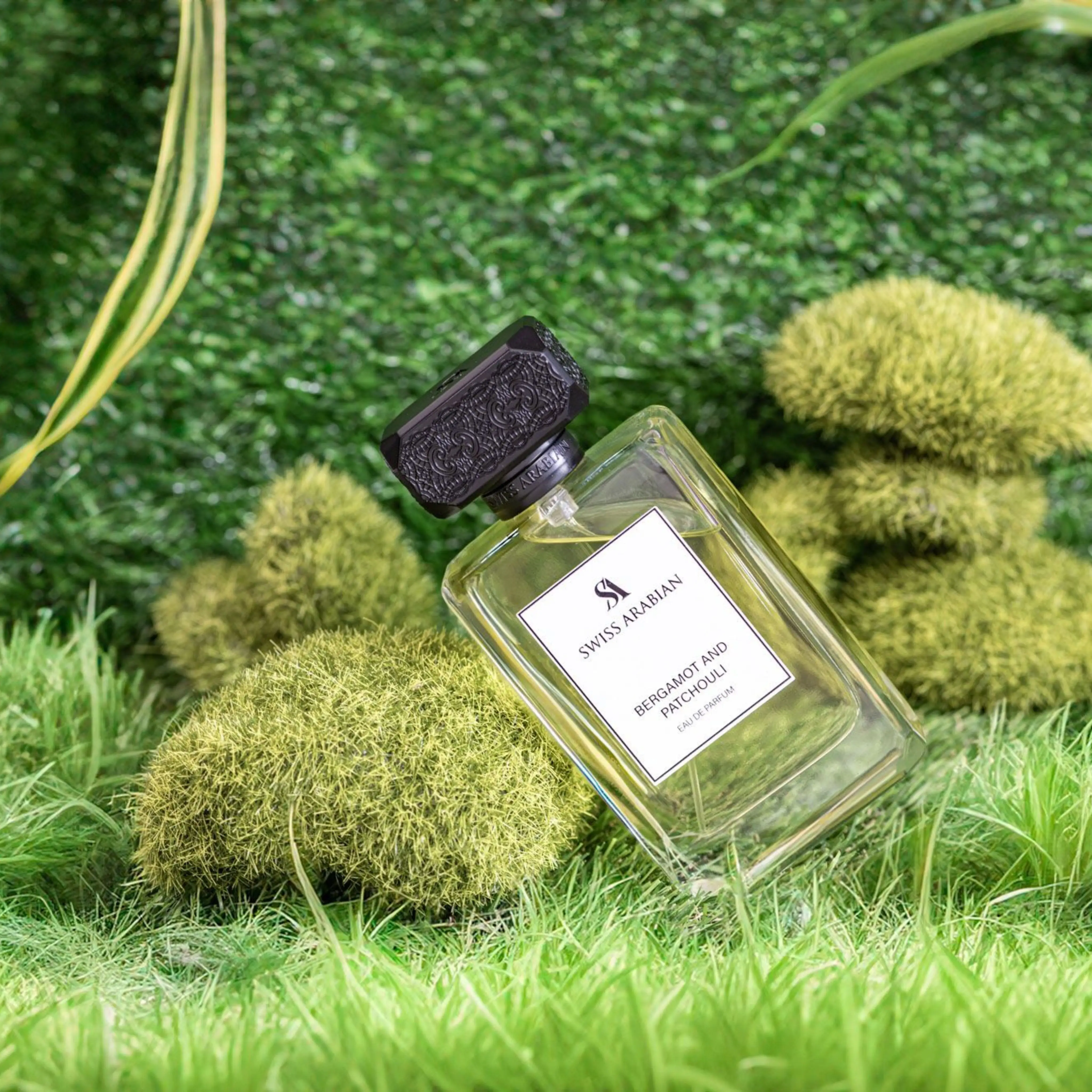 BERGAMOT AND PATCHOULI - Image 5