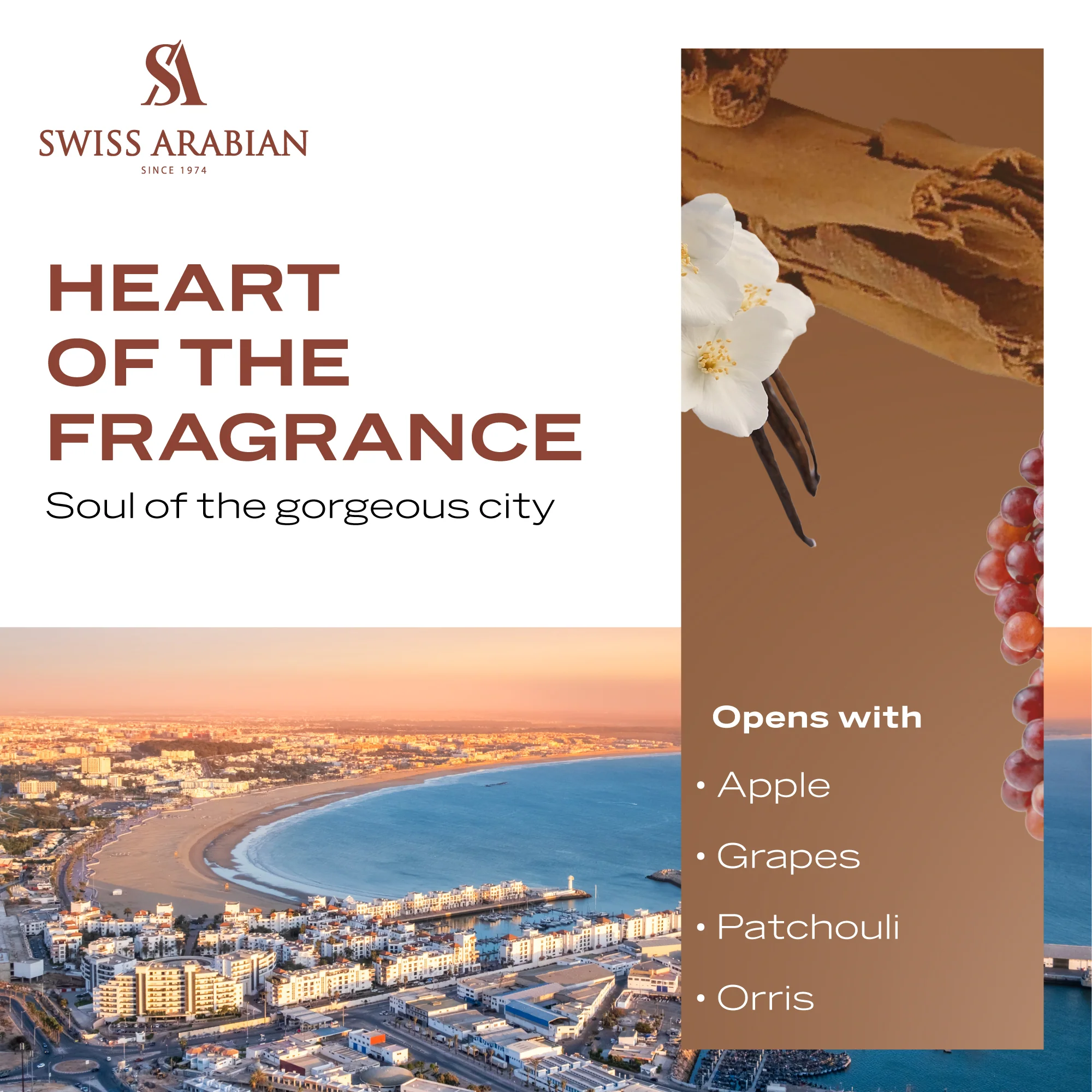 ESSENCE OF CASABLANCA - Image 5