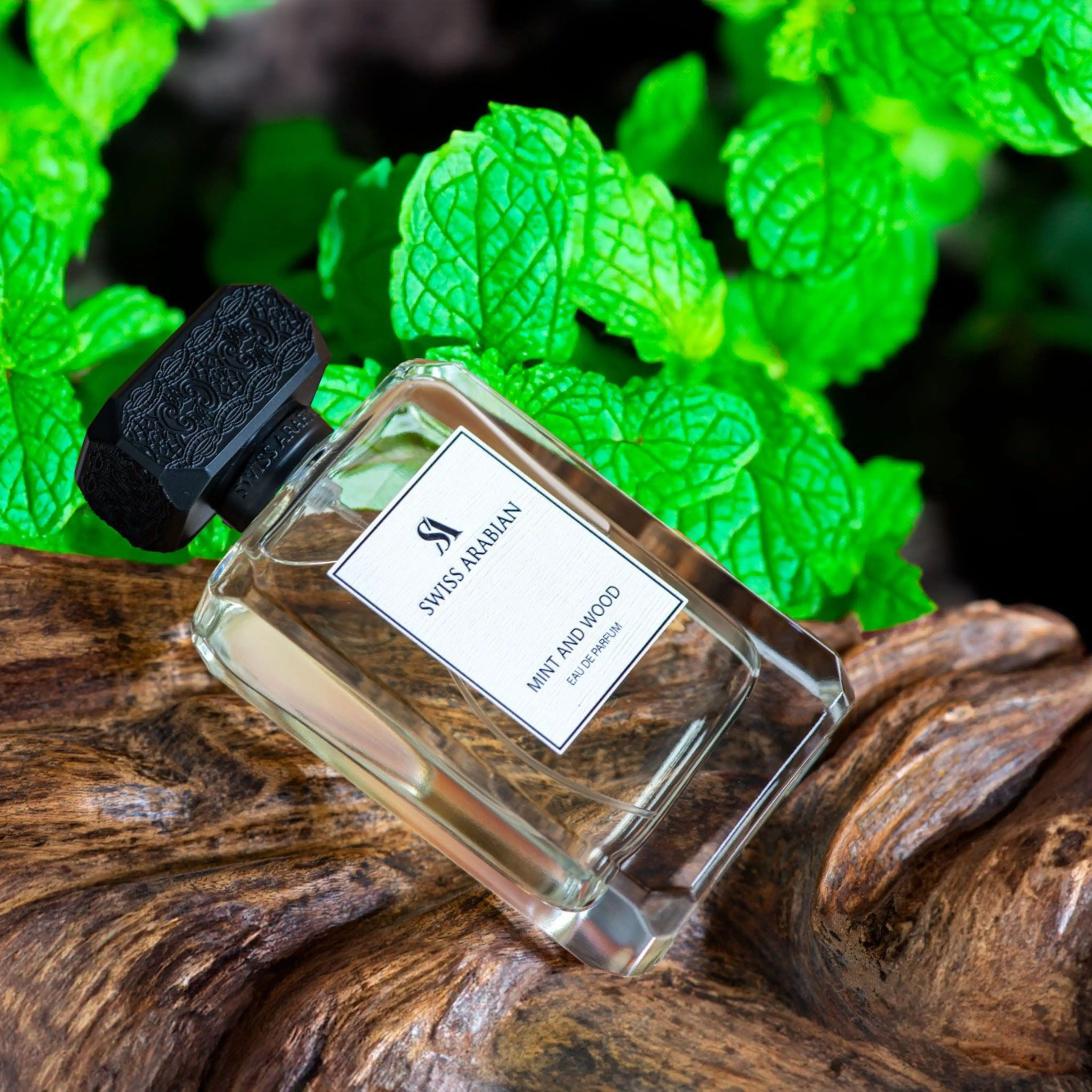 MINT AND WOOD - Image 7