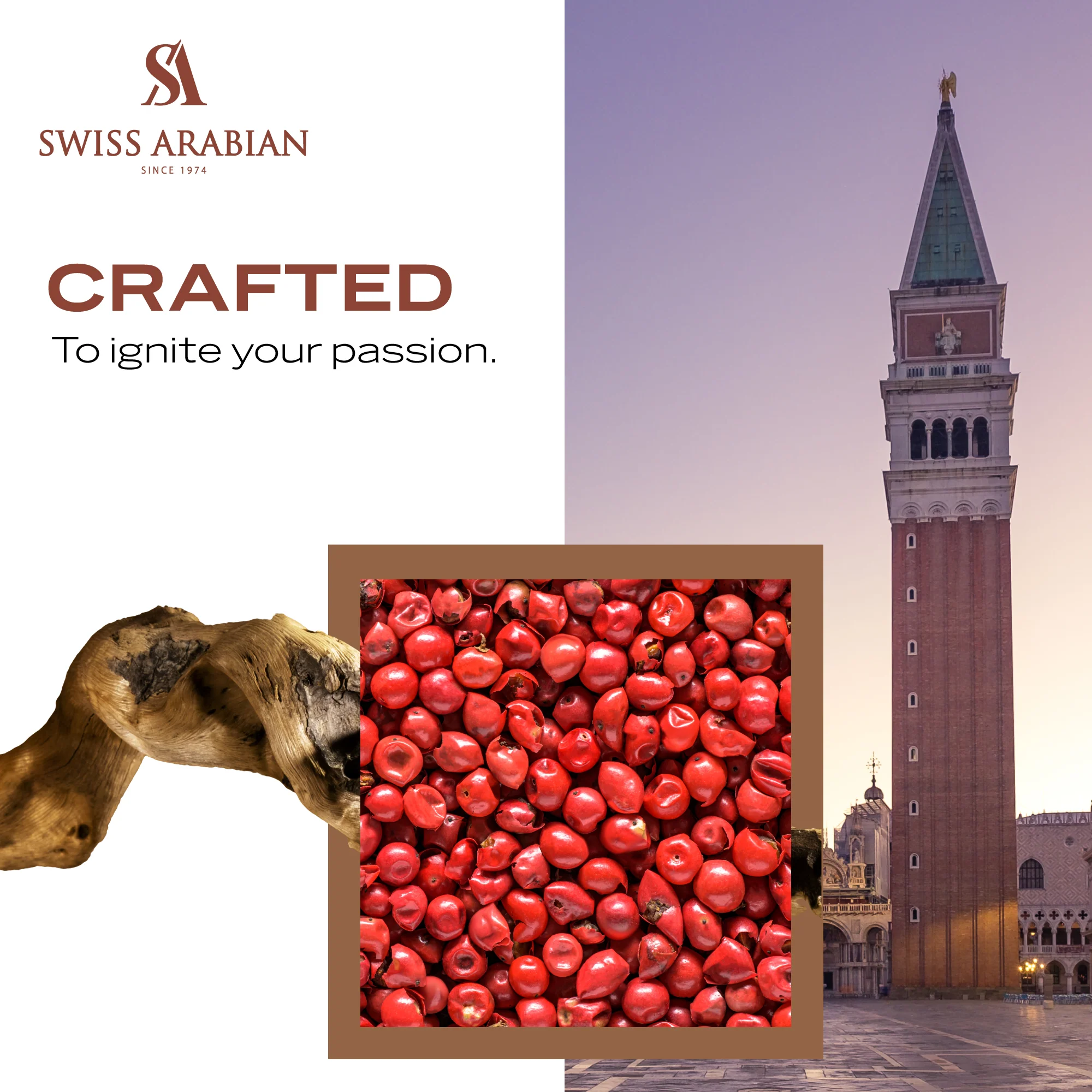 PASSION OF VENICE - Image 6