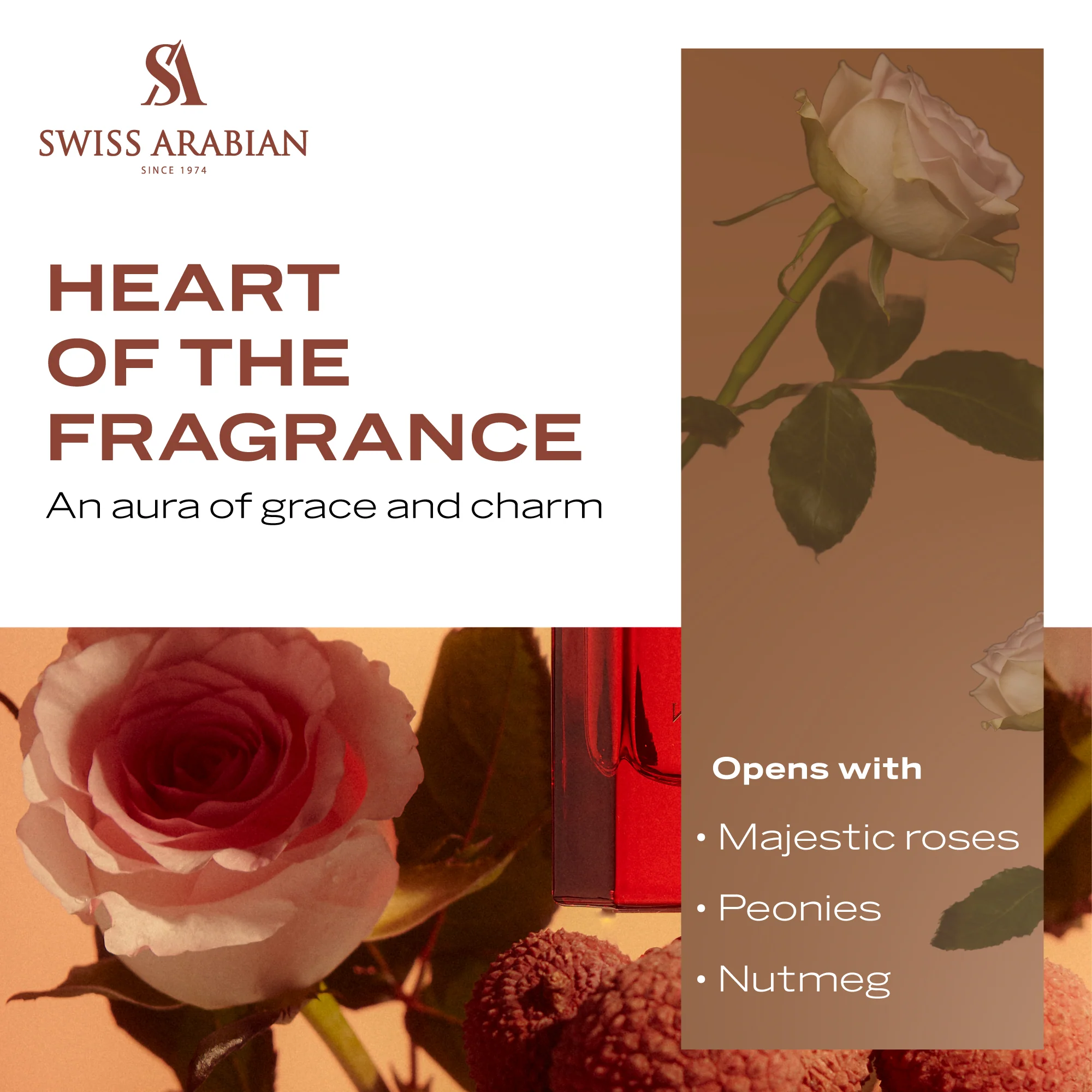 ROSE 01 - Image 5