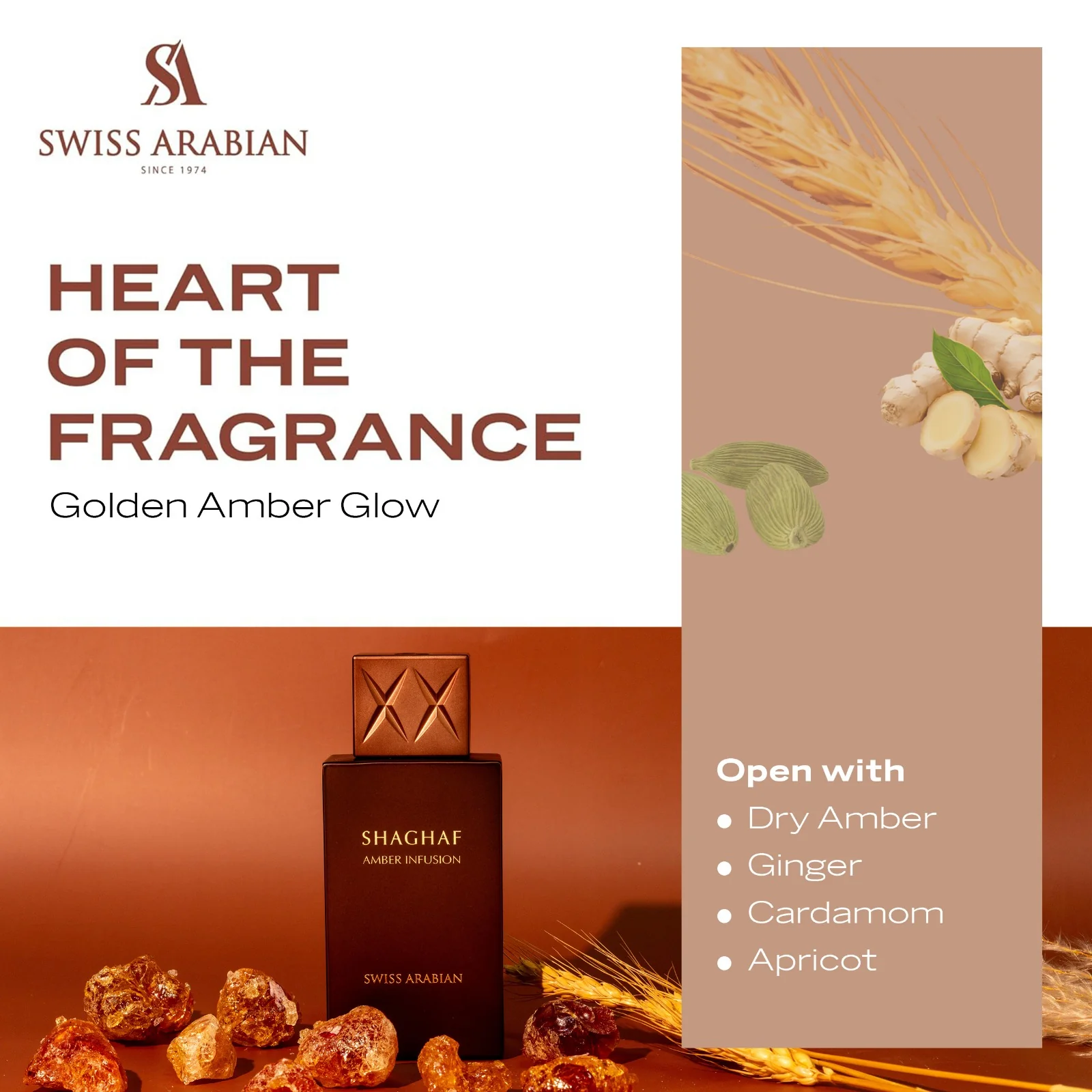 SHAGHAF AMBER INFUSION - Image 5