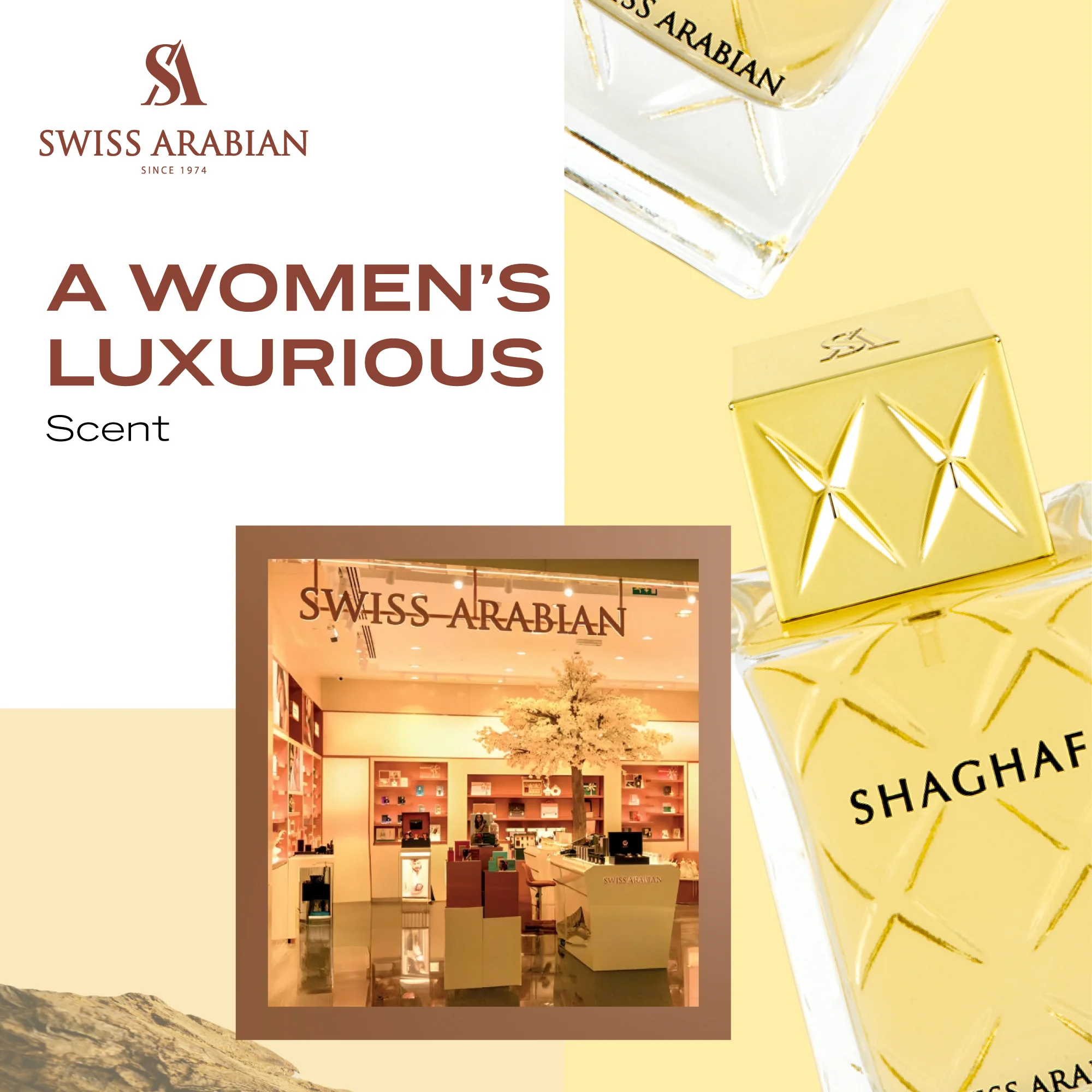 SHAGHAF (W) - Image 4