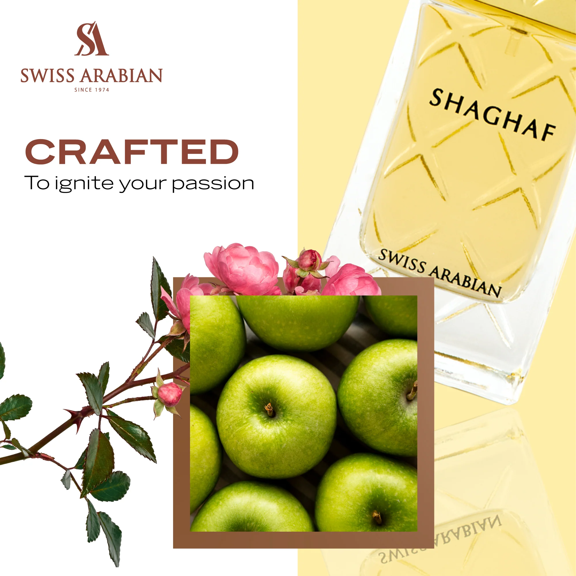 SHAGHAF (W) - Image 6