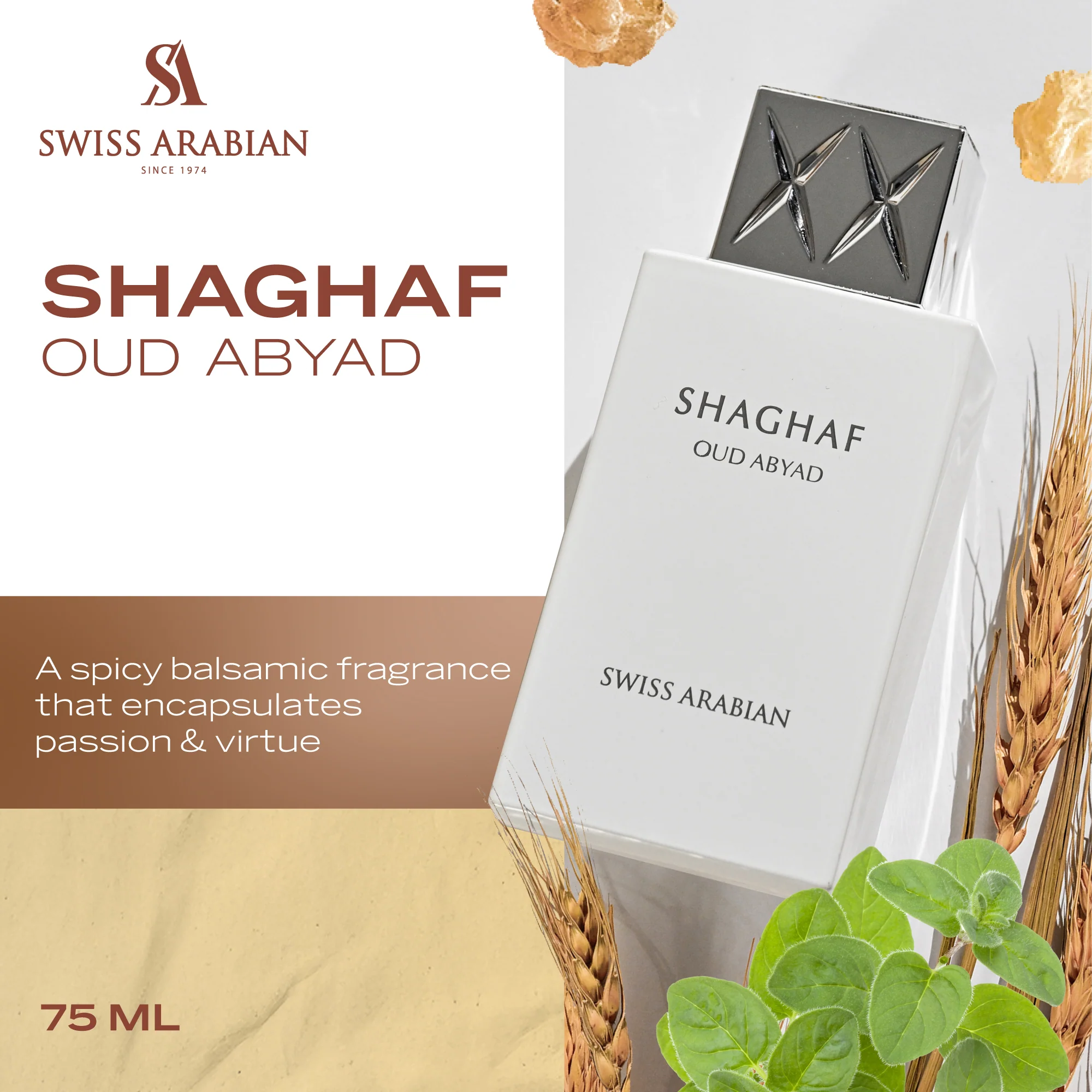 SHAGHAF OUD ABYAD - Image 3