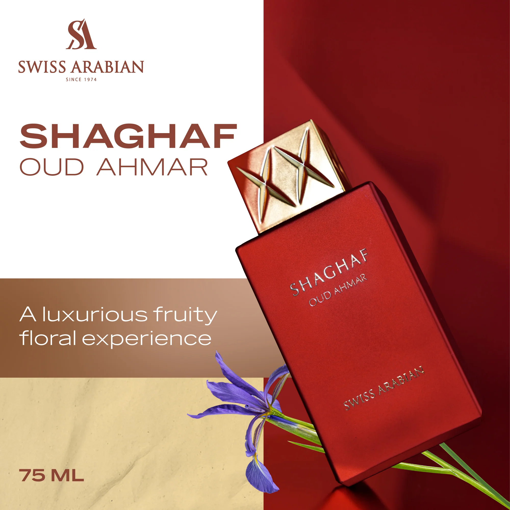 SHAGHAF OUD AHMAR - Image 3