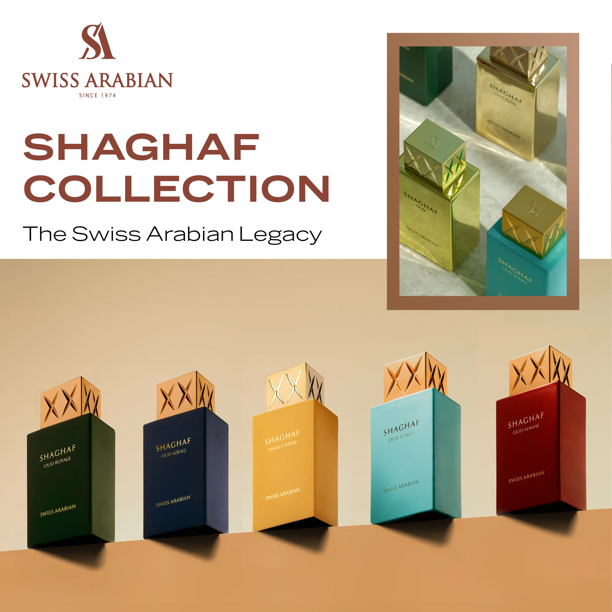 SHAGHAF OUD ASWAD - Image 7