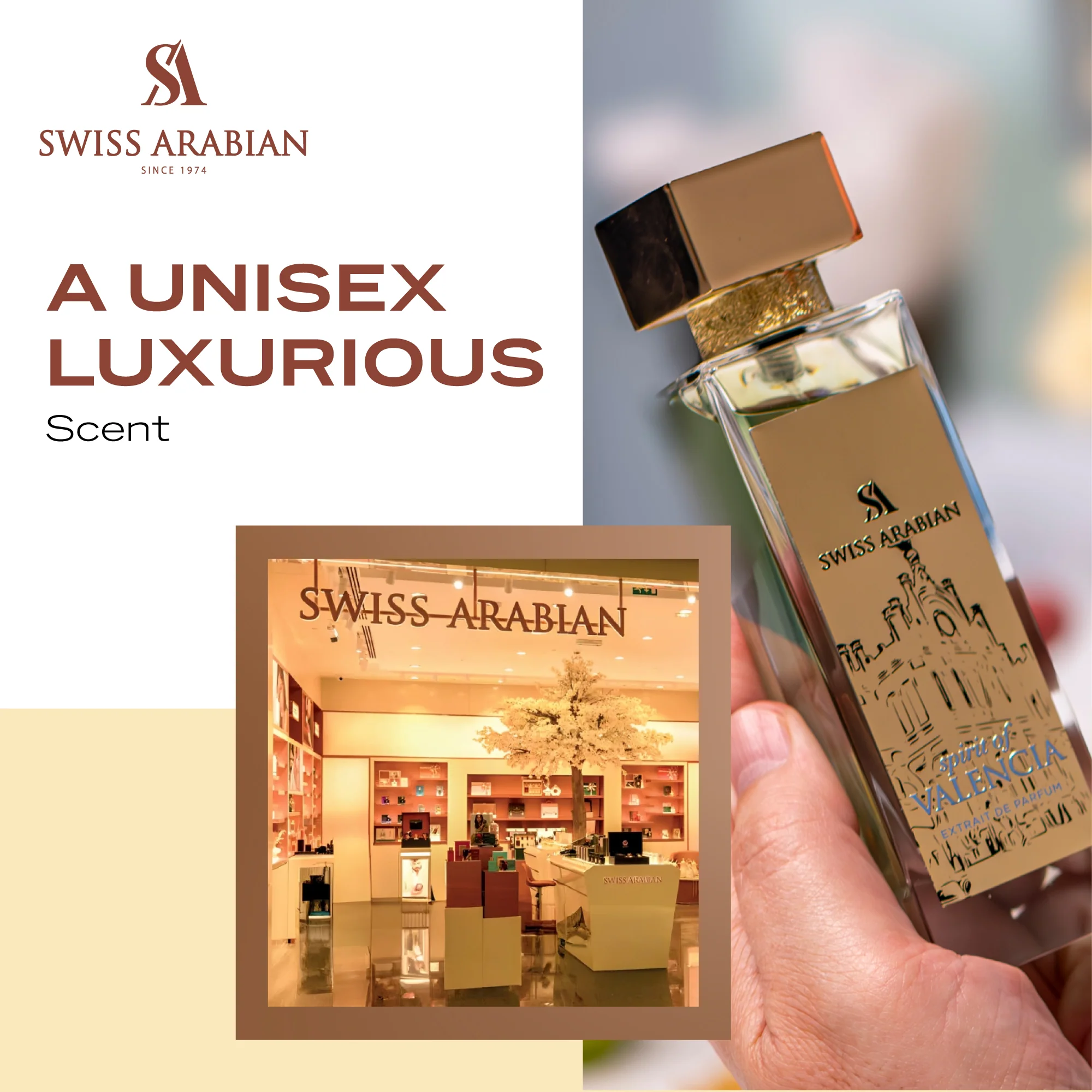 SPIRIT OF VALENCIA - Image 4